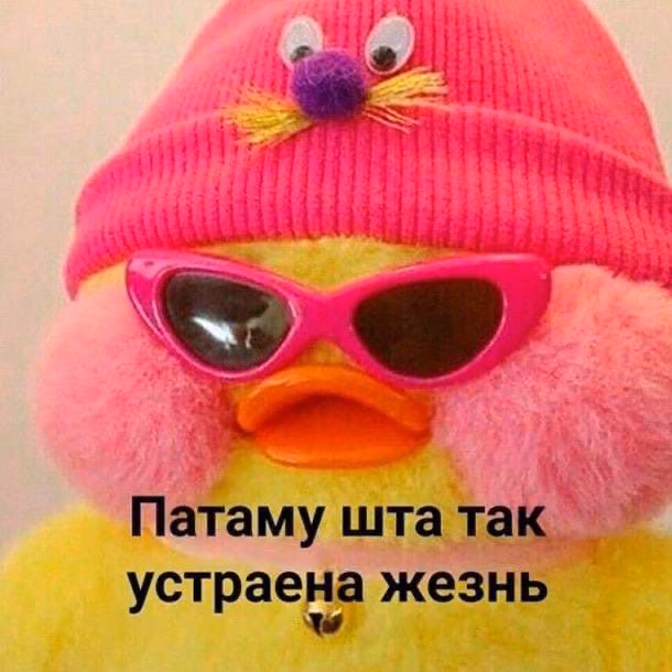 de8b53023ee41b9b34bc8da25acbbb7a.avif