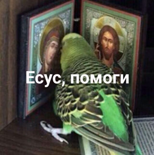 de8bac4cc30a68abbdae95c153bf16f1.jpg