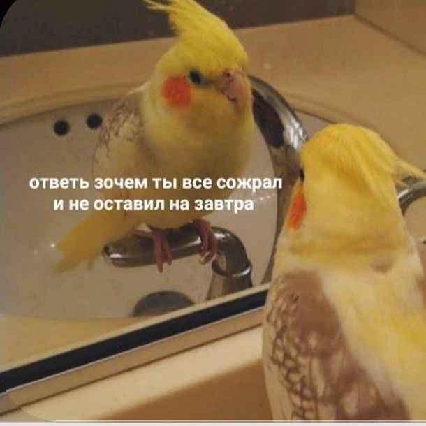 de8cdf25ef45f5b835db258d9dca8371.jpg