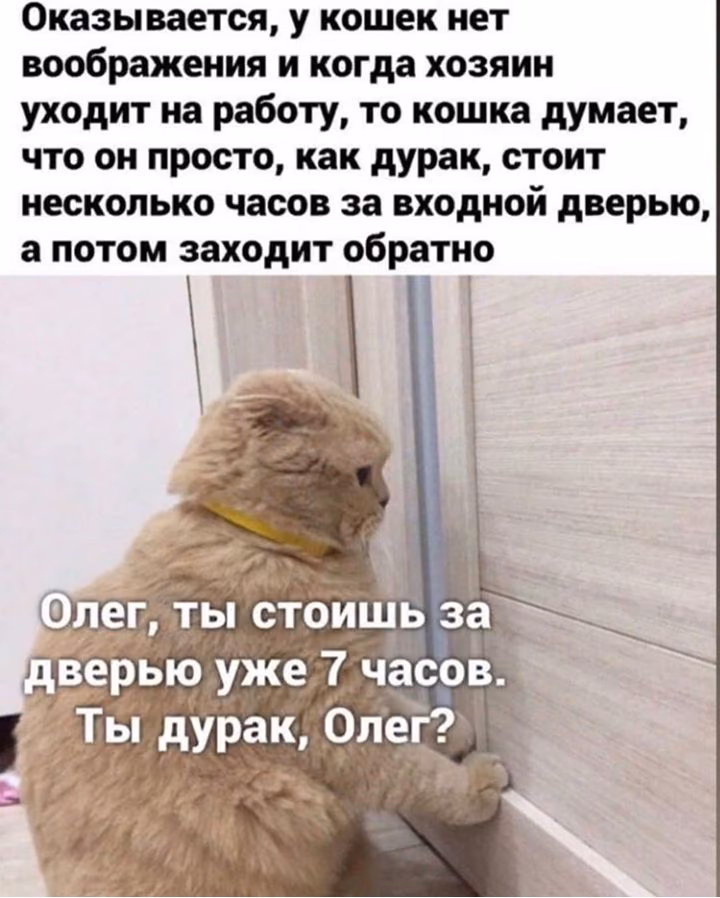deaf4e606016c4e981e7a3aef550649a.jpg