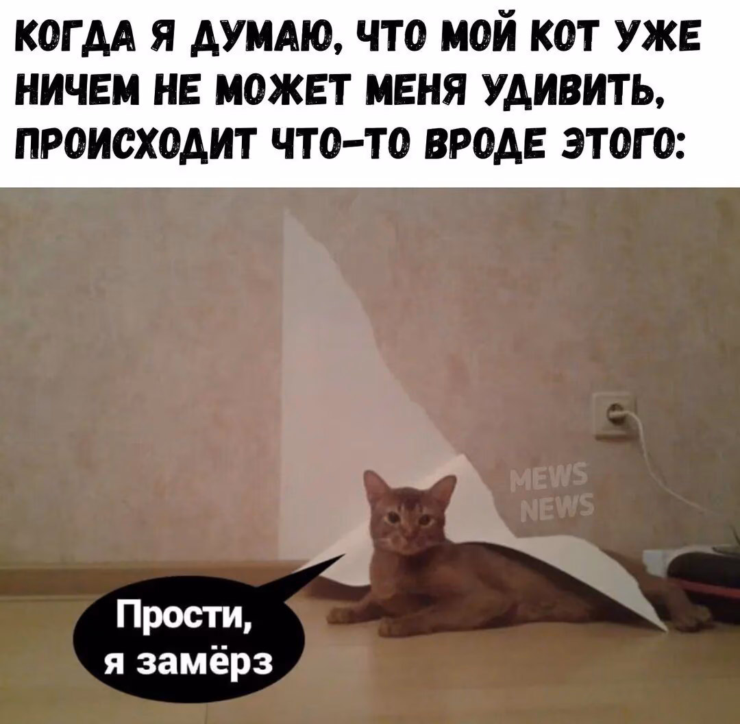 dec69debbbdd9f914d914d6a35454f8e.avif