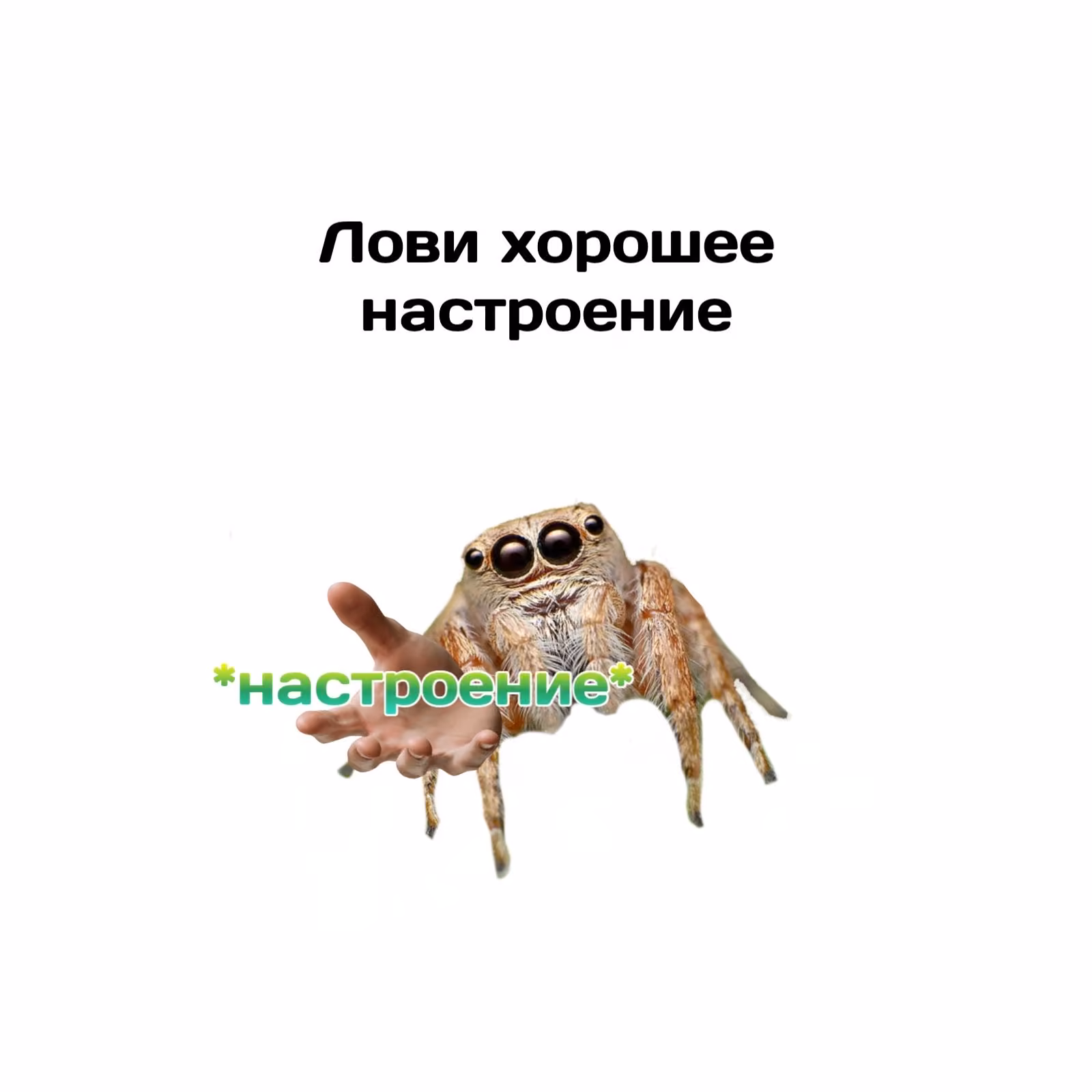 dec806e182f89da8cb8bc3c14b33c98d.jpg