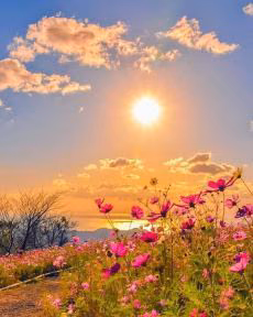 dece7cc36f37d0f3b8f0fc1ee80a075d.jpg