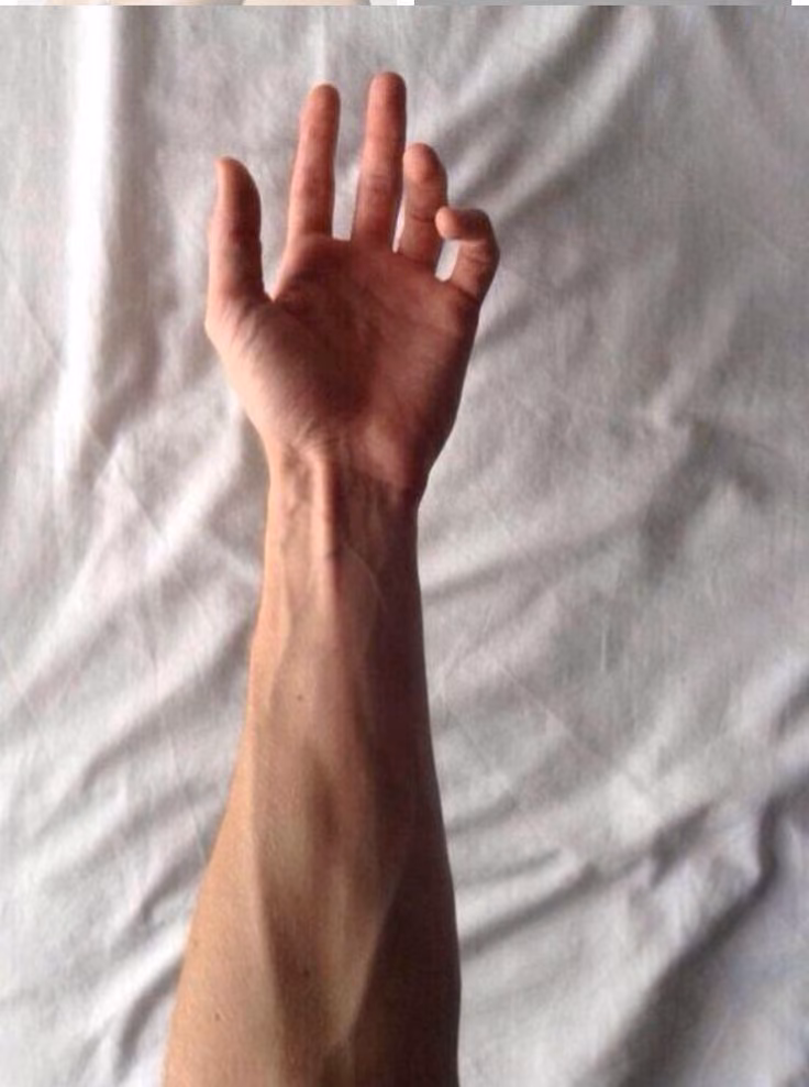 ded9fbf6a1d8c7c8f2b5881f387f7b14.avif