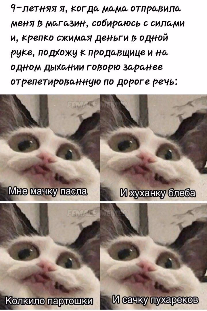deee92d2a41da2c3342ad679a77a6199.avif