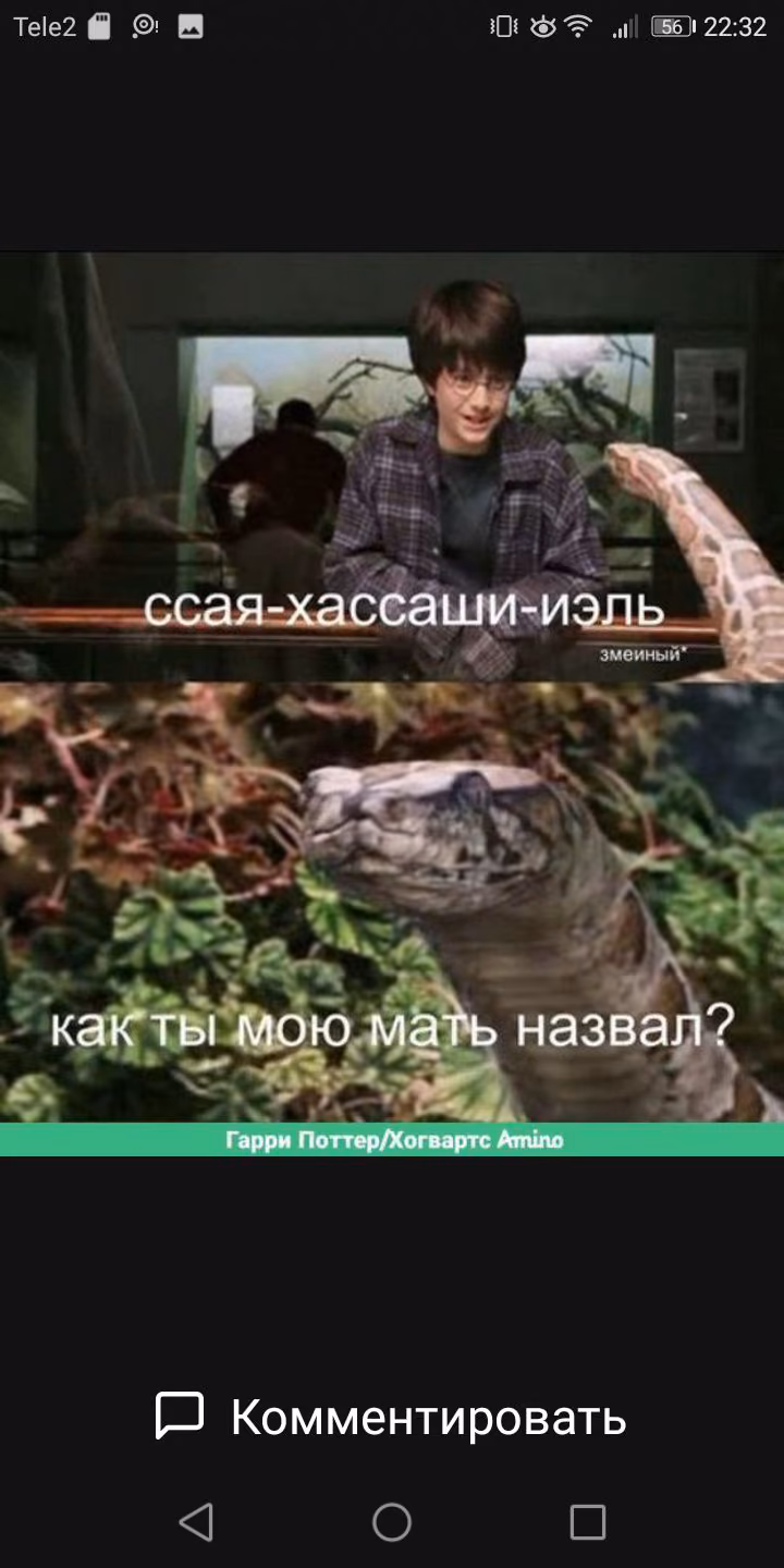 def0f2f12902cdda0832b73f9fb827d4.jpg