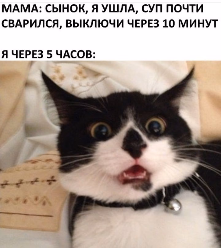 def58b1ad3369daf500601a40a57f403.jpg