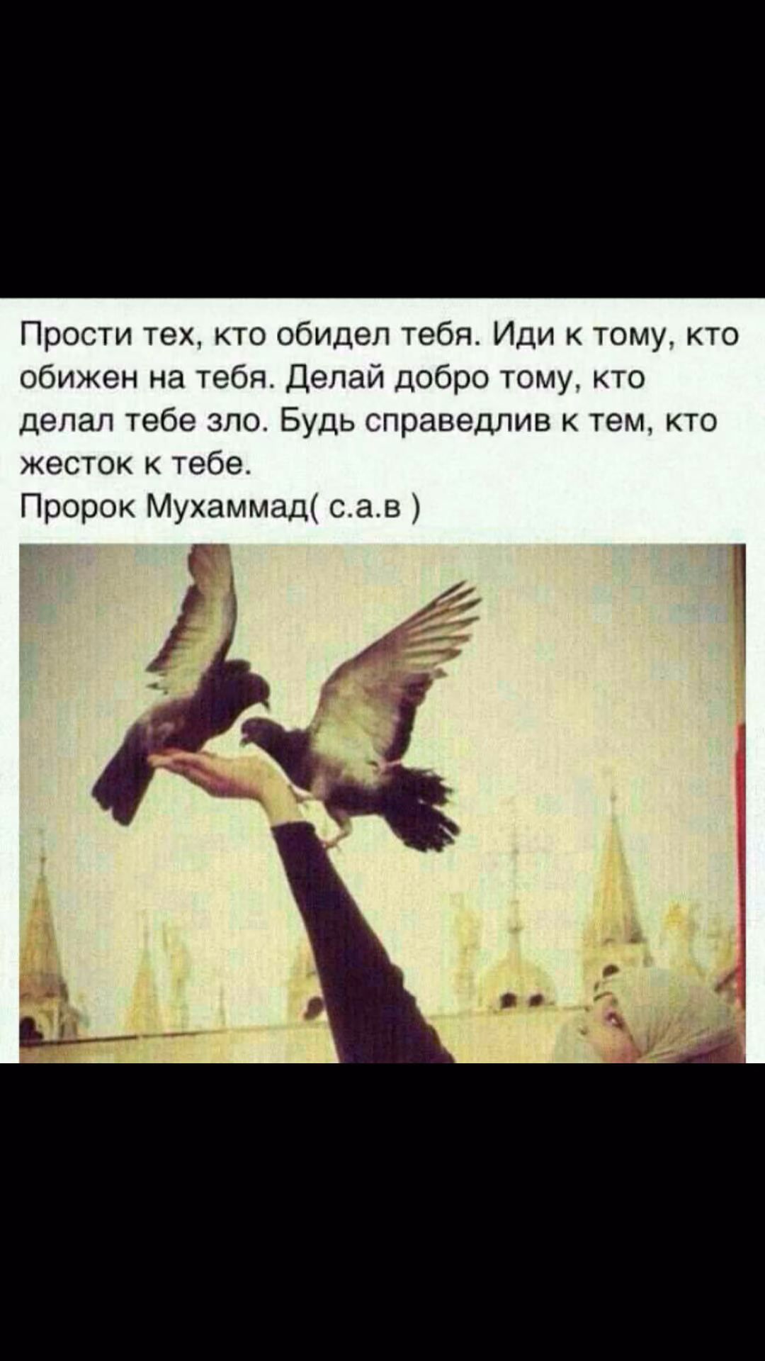df036691fb7c3f9d3a5564438a71355b.jpg