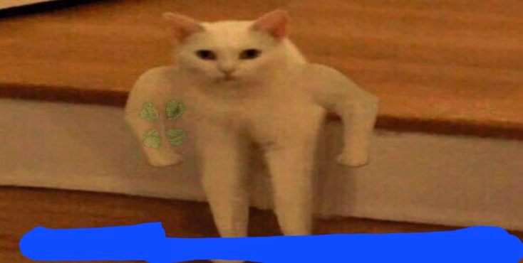 a7cee891428637c660d6245daf13d6df.jpg