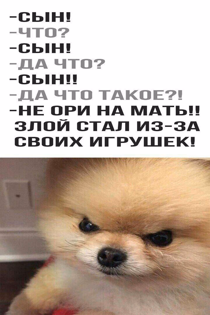df373100751db0b200dfc1d12a796a56.avif