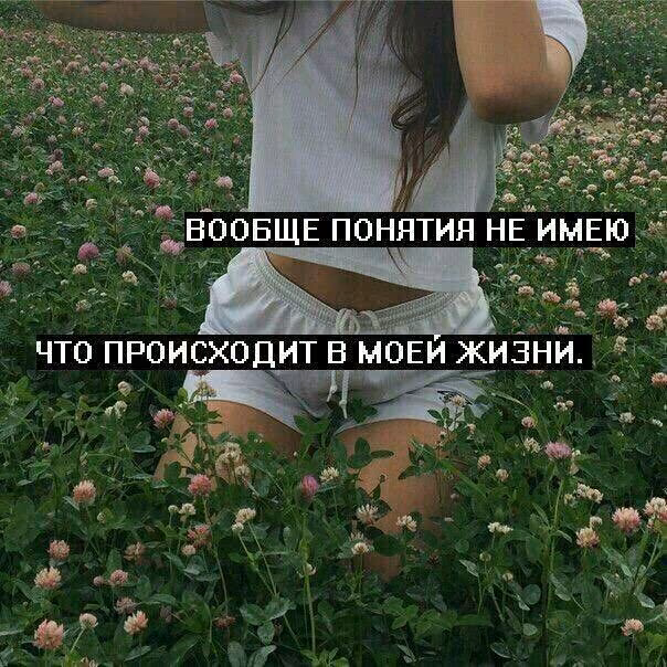 df3c5b2e8dd95f813c44bc63ae0c7752.jpg