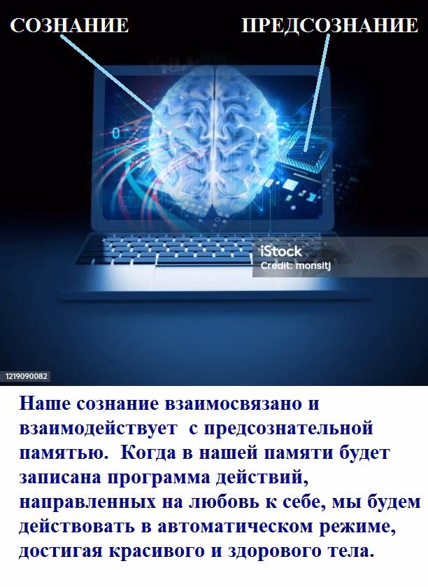 df531f400b9edff08f32838c00de98bf.avif