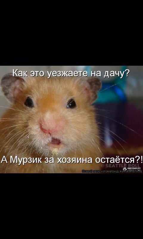 df53d8b0816650c1f6bdeb0b7a61404a.avif