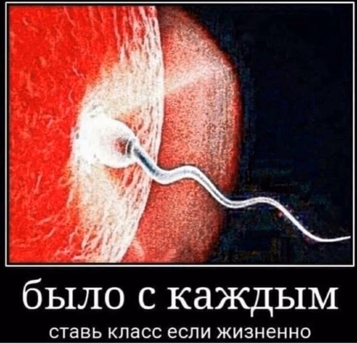 df612e5ace514d8a5b4f206e65e65593.jpg