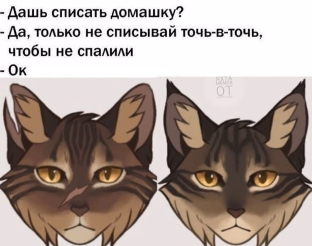 df6eb2343417861b77369c3fb913bf94.avif
