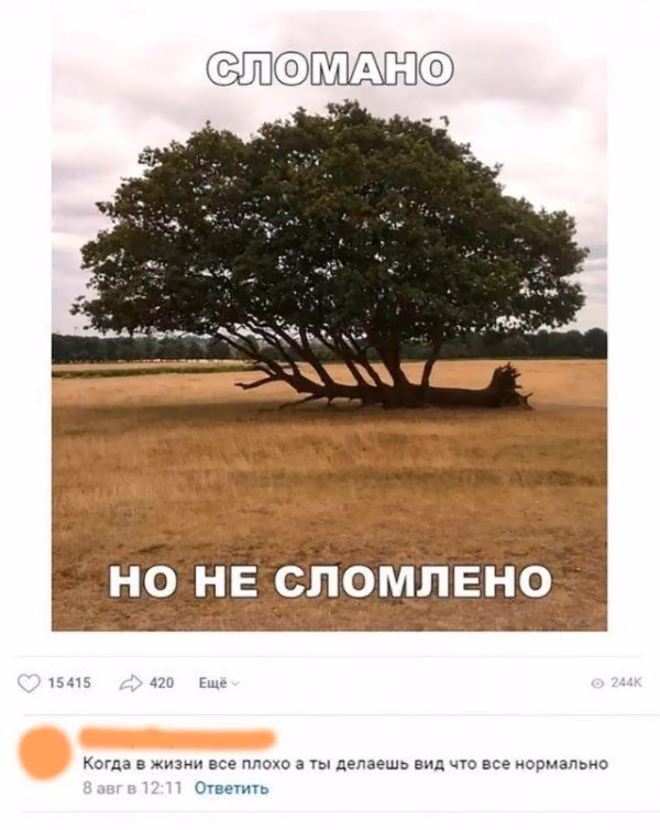 df8f0cc73f01ca0df763d9636e397690.avif