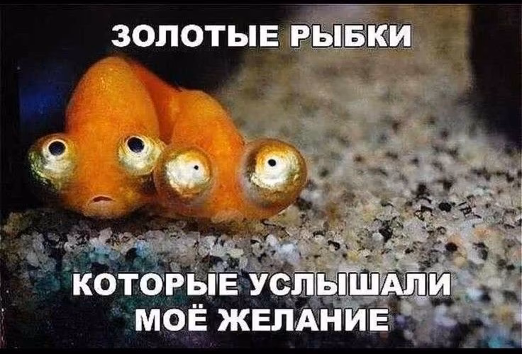 df9687411080a2632318e0cc87279bd4.avif