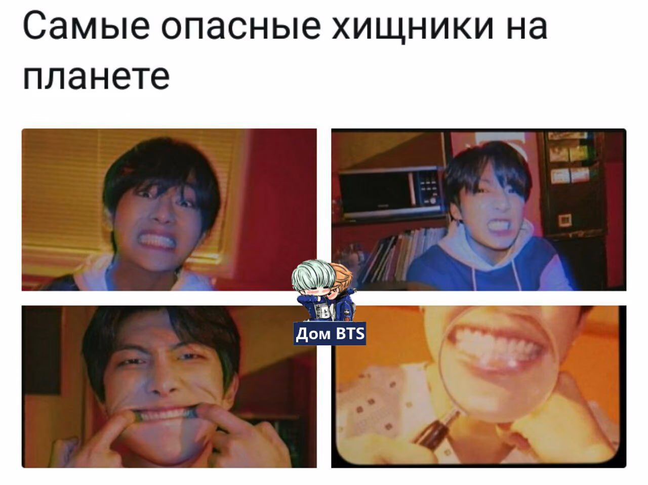 df99c2c5385731ced65d951fb0cb447b.jpg