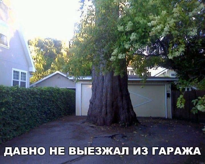 df9b419ef7559649b3d8d7c4e9751653.jpg