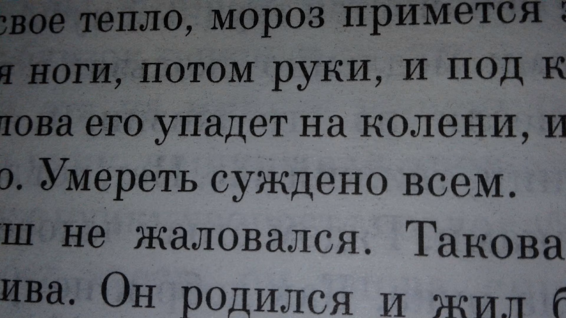 df9d419b2732cbb49bc5b76de2bc084c.jpg
