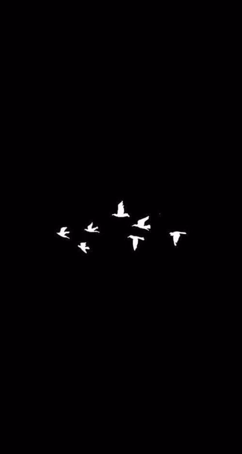 dfa3f2ae2255f512f9757cf636c2451a.avif