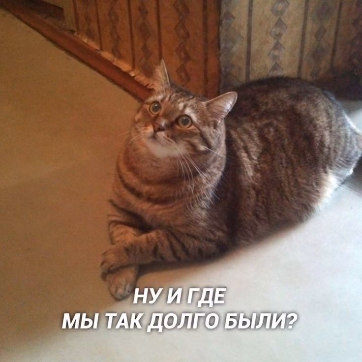 dfb91ab7ef92c2372f6be8afcce828d1.jpg