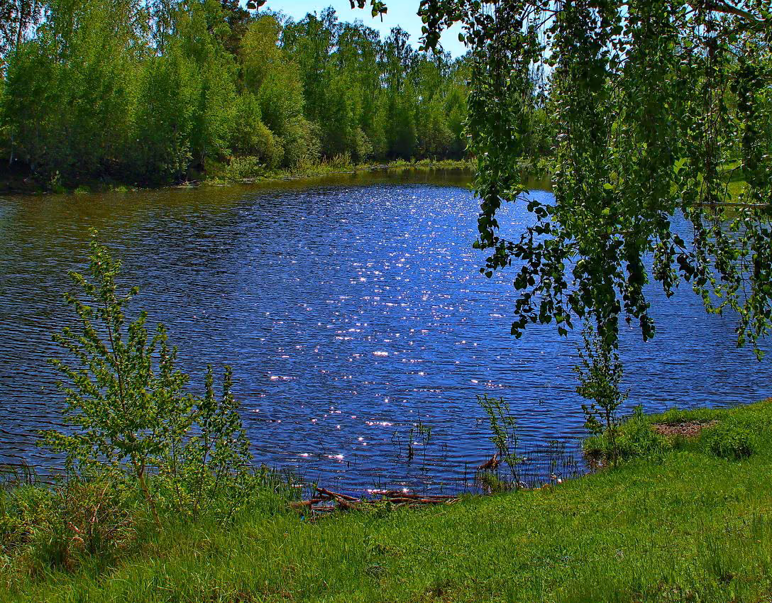 dfbcfda0e0af17e268434567e9a36387.jpg