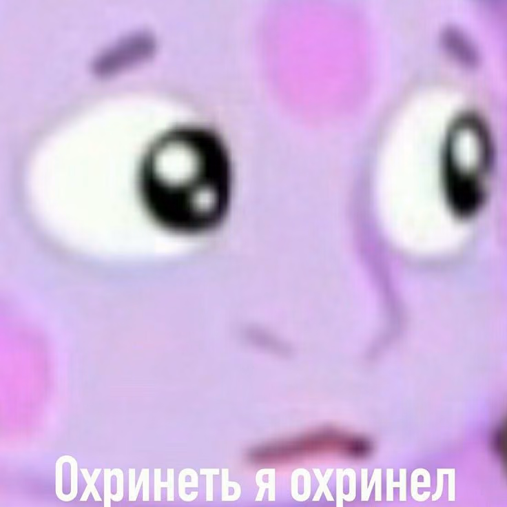 dfc87cb57017b55a7caa579b750f09d9.jpg