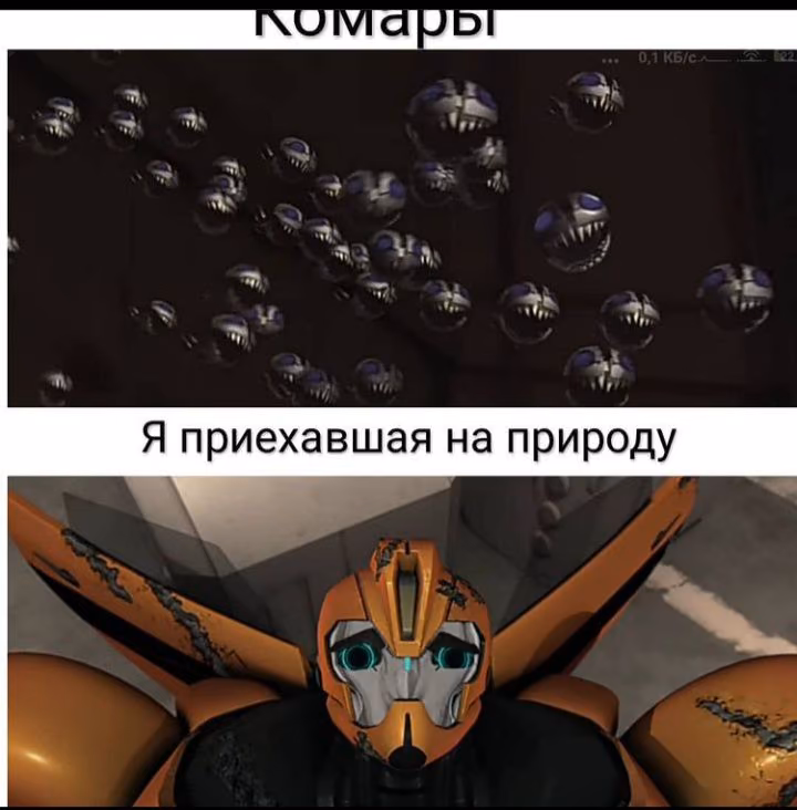 dfe09a20e88ede97b13d5448d8ab7266.jpg
