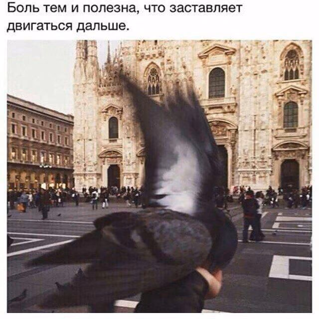 dfe1eb0cfdea14610a587a26ad59ae12.jpg