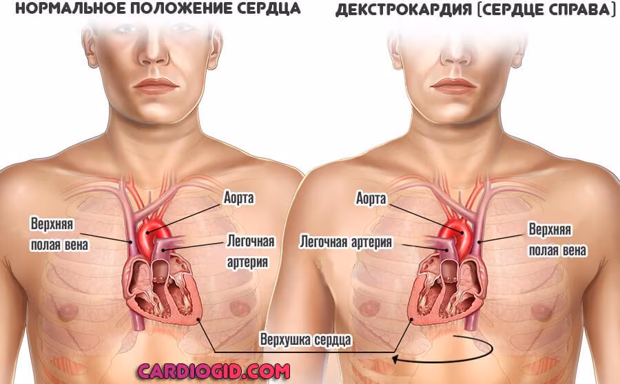 dfe4eb6c089979dbaac1913203eafdd2.avif
