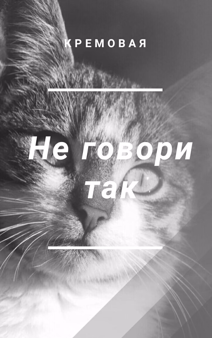 dfe60f9c484dc782fd144ed43931d0c0.avif