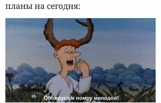 dff543140be6242bf3b147f5fc0d8434.avif