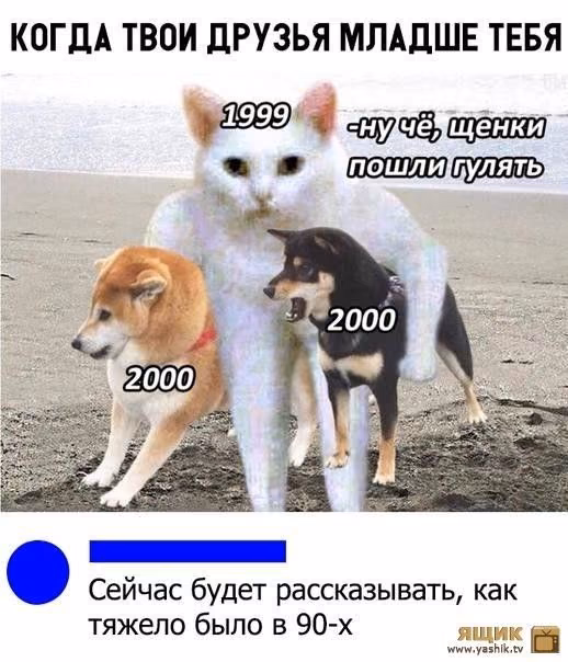 e027f0cb0451539afa7181d6f28dfe9d.jpg