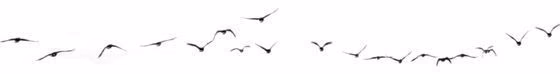 e036e170c75e2e2cb46ee4c9638d227b.avif