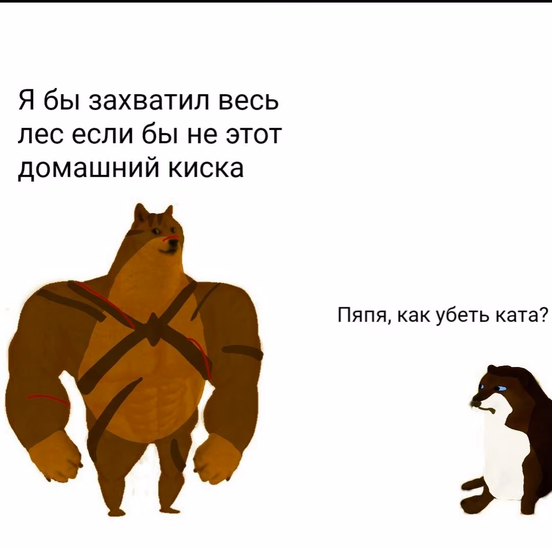 e0429b4649e5a974cb737f64a28c1790.avif