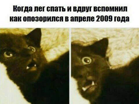 e043632bd9f7cc08991bc69c1fec8314.jpg