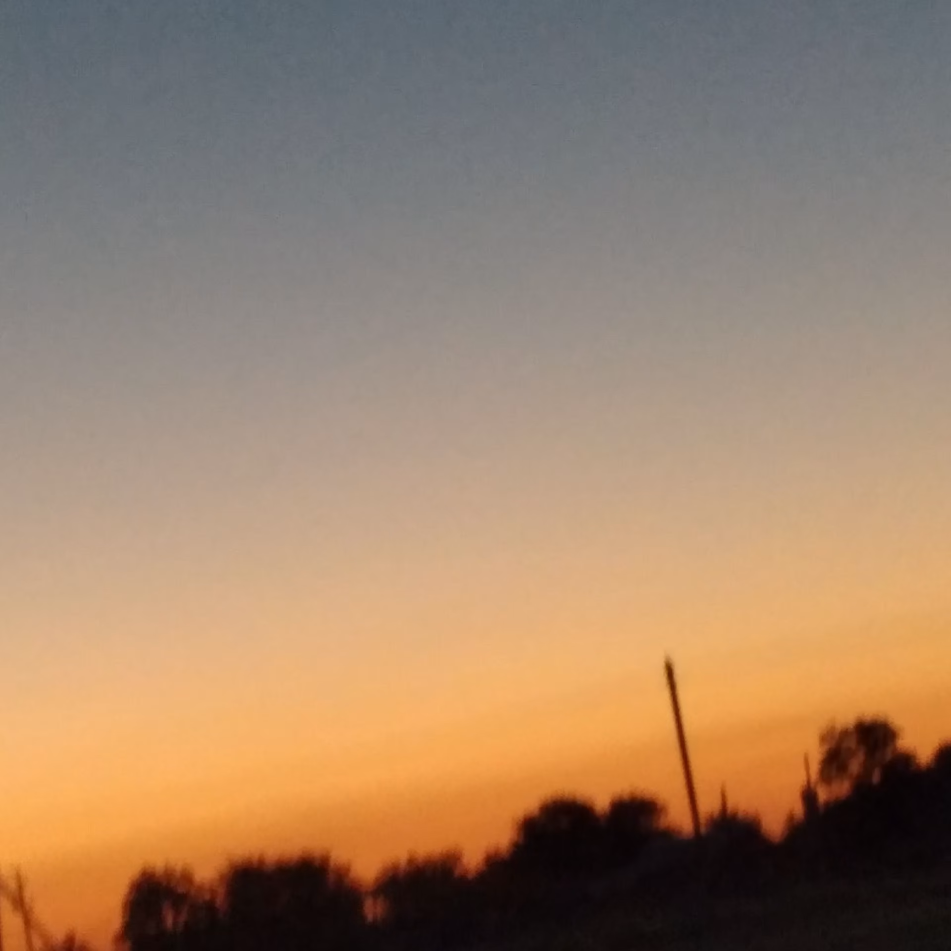 e0497b7d639775d72cf27d8ec3b66838.jpg