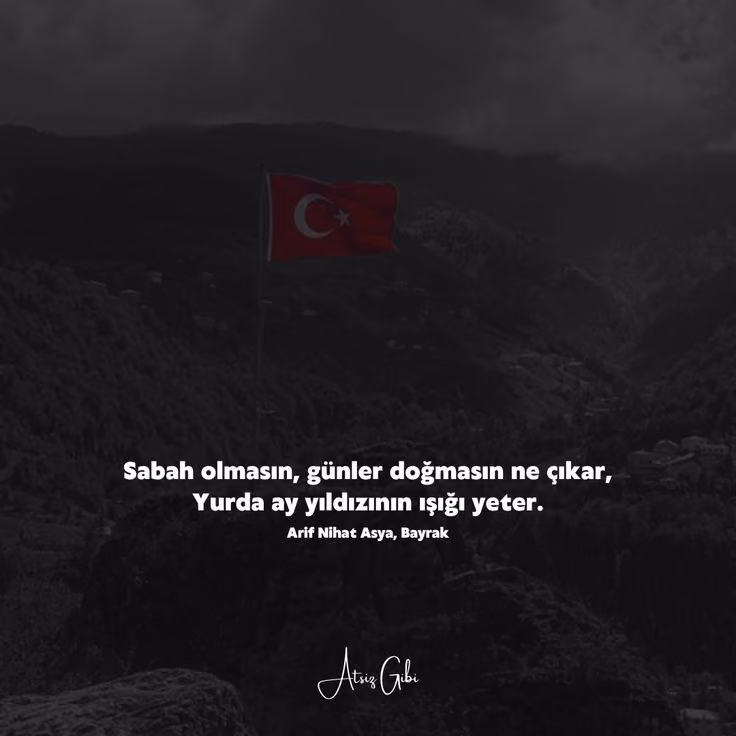 e051134bdd8cef1ae05da780fe73620b.avif