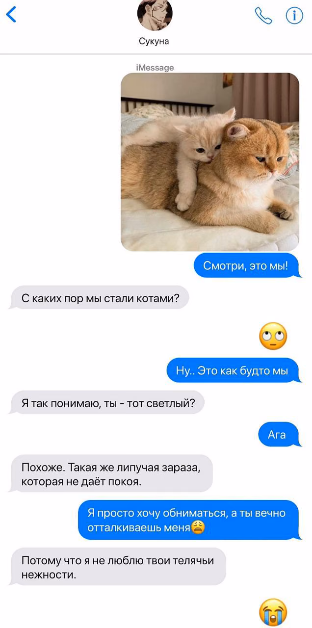 e073bc21113619af7bfcada703c8e5f7.avif