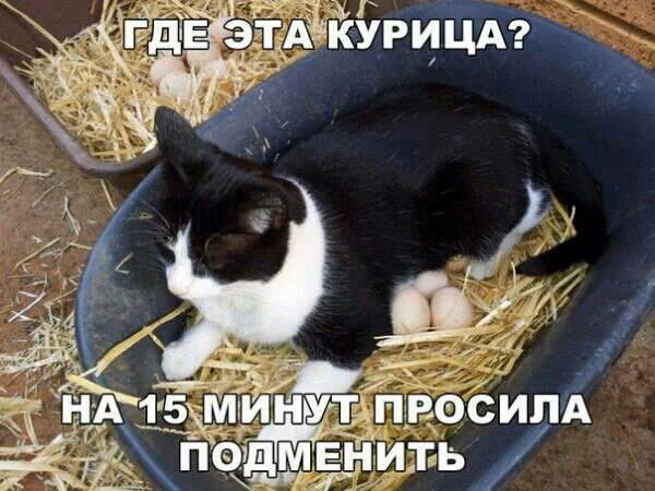 e07a940c71ea37ad190a00d26d68a613.avif
