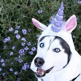 e07a9e37e1011a356164ceb2ed7e6c96.jpg