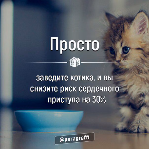 e08577cca577cfb1d2b9576eefa4447d.avif