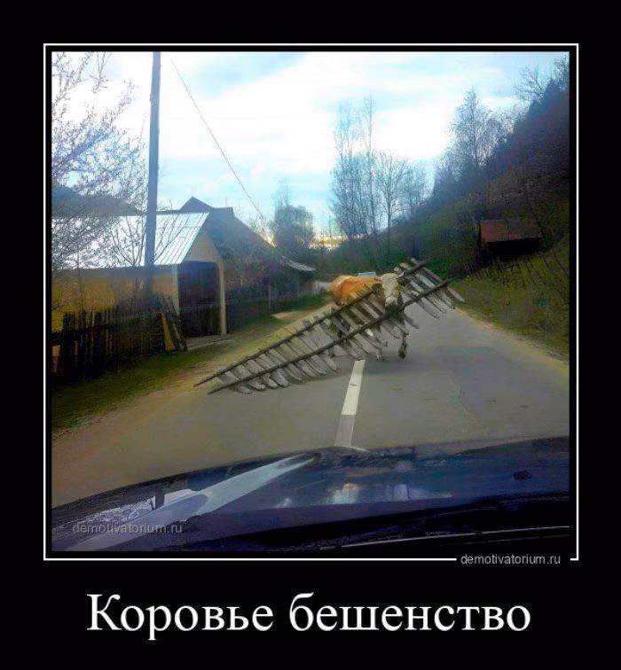 e08705723345b389070246197b167823.jpg