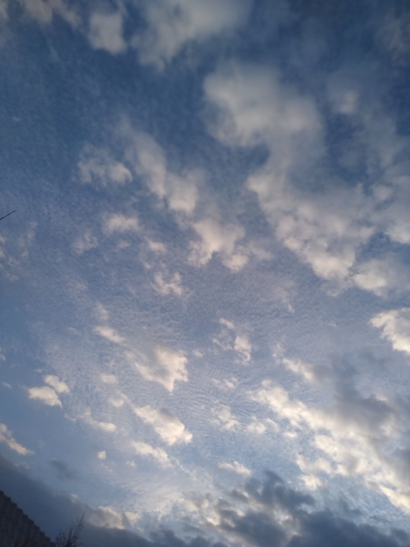 e0926918b2d3b32d666c77a72a894a2f.jpg
