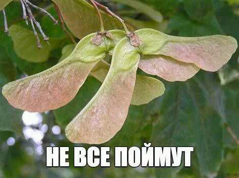 e0a1af041403d17da9f3694932b9da41.avif