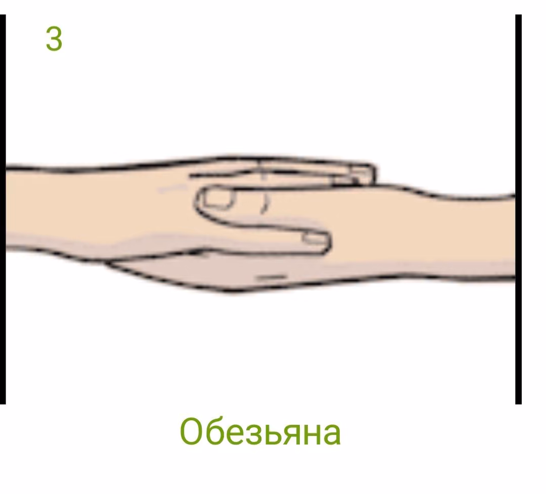 e0b9b5cf0574729be48a3fe264f215e9.avif