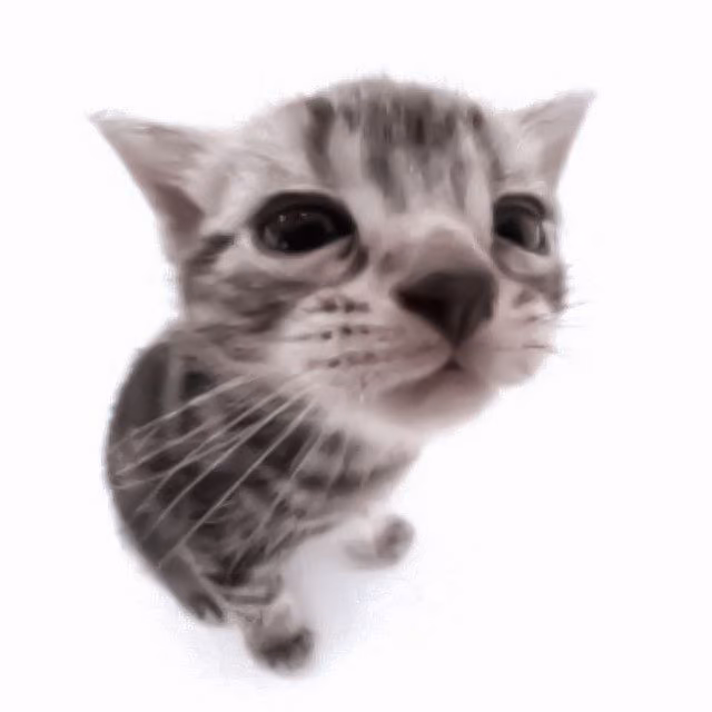 e0caeb314775d277afc85c509b460534.jpg