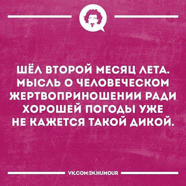 e0df4f2824402be5d07af25ad8d37718.avif