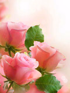 e0df706086531cb017738efe53662bf8.avif